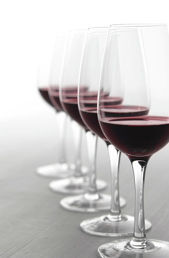 Wine Tasting Photograph by Donald gruener
