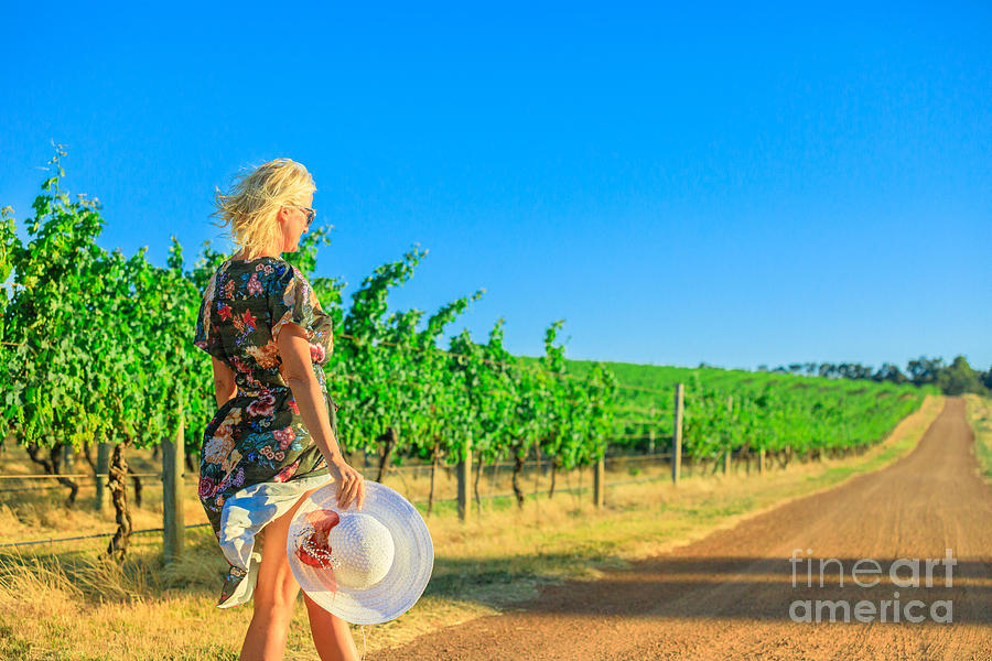 Wine tasting Western Australia Photograph by Benny Marty