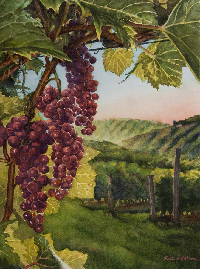 Wine Vineyard Painting by Heidi E Nelson