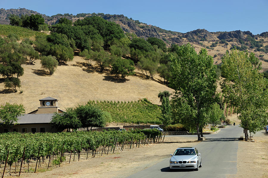 Napa Digital Art - Winery, Napa Valley, California by Colin Dutton