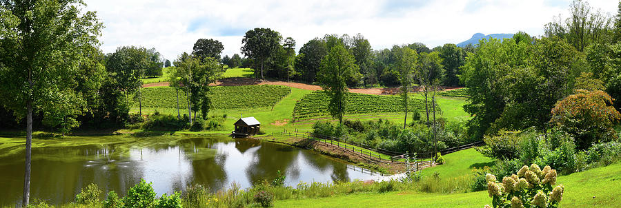 North Carolina Photograph - Winery Panorama1 by Robert Michaud