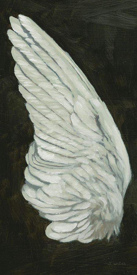 Feather Painting - Wings II by James Wiens