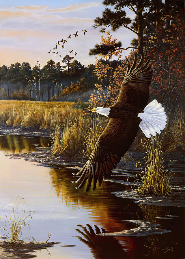 Animal Painting - Wings Of Autumn - Bald Eagle by Wilhelm Goebel