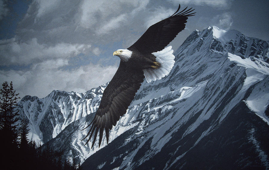Wings Over Winter Painting by Ron Parker