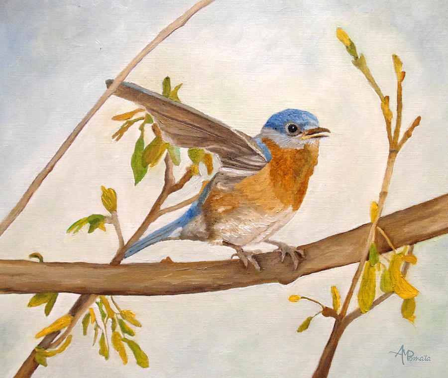 Wingy Eastern Bluebird Painting by Angeles M Pomata
