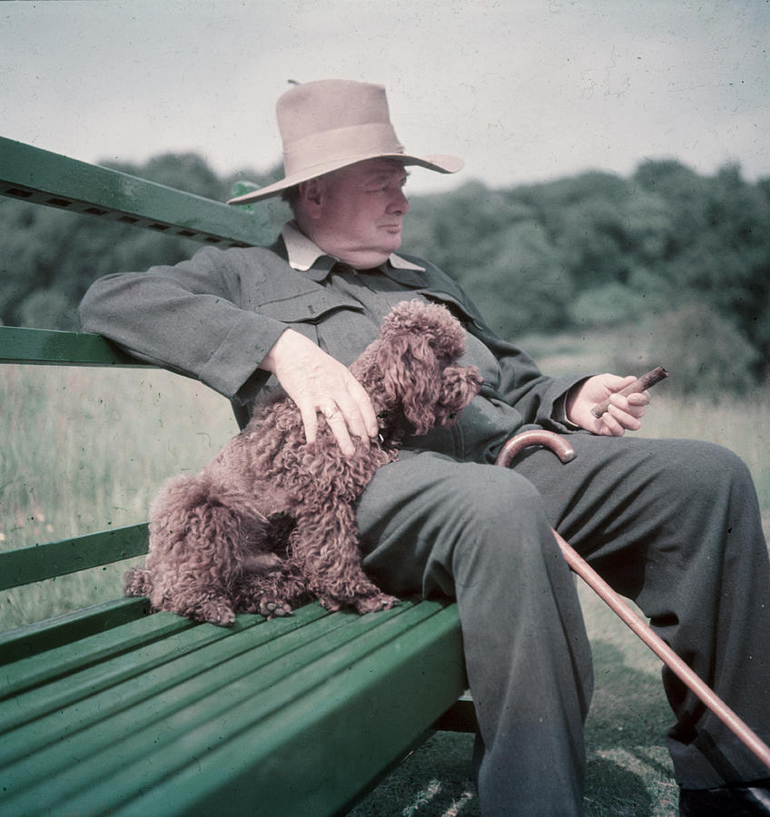 Winston Churchill At Chartwell Photograph by Mark Kauffman