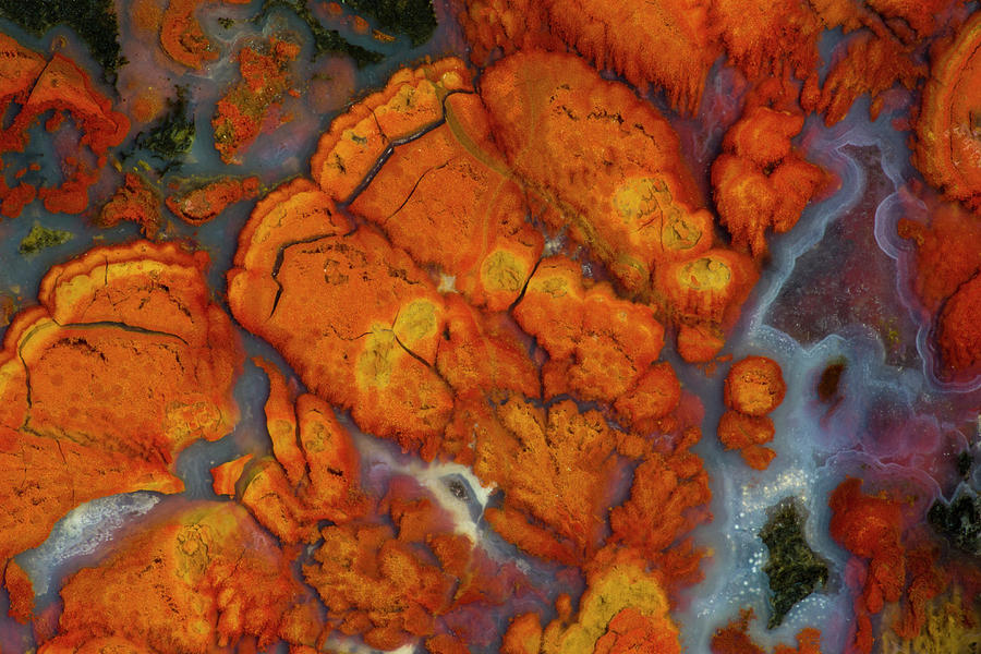 Wintate Pass Plume Agate, Ca Photograph by Darrell Gulin