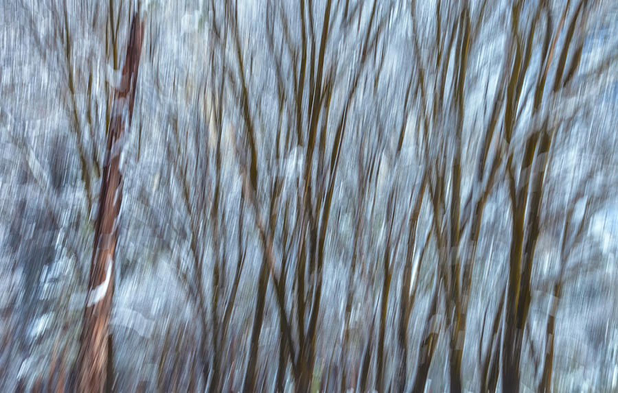 Winter Abstract  Photograph by Jonathan Nguyen
