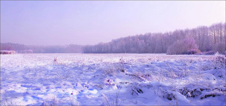 Winter Photograph - Winter Afternoon #4 by Slawek Aniol