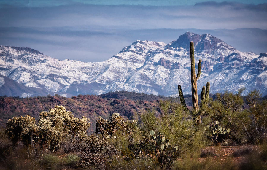 Winter Arrives In The Sonoran  Photograph by Saija Lehtonen