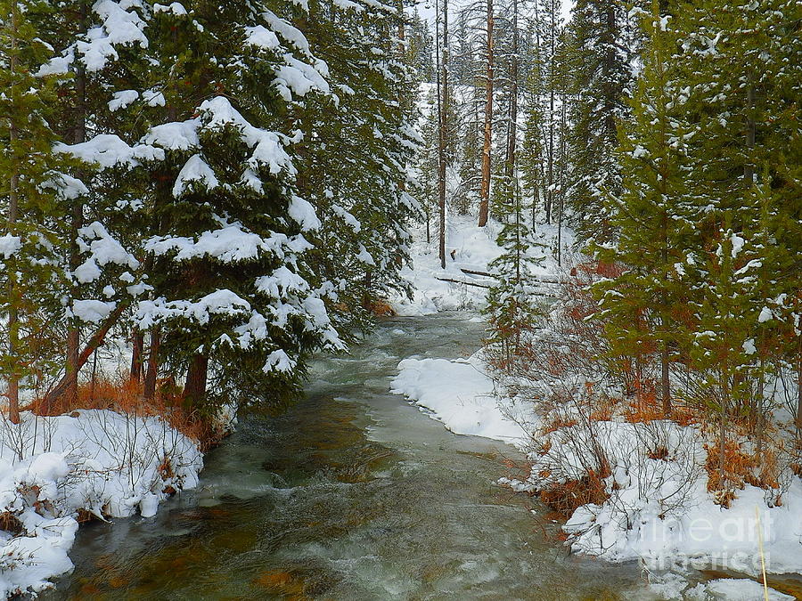 Winter Fishhook Creek Sawtooth Mountains Photograph by Art Sandi - Fine ...