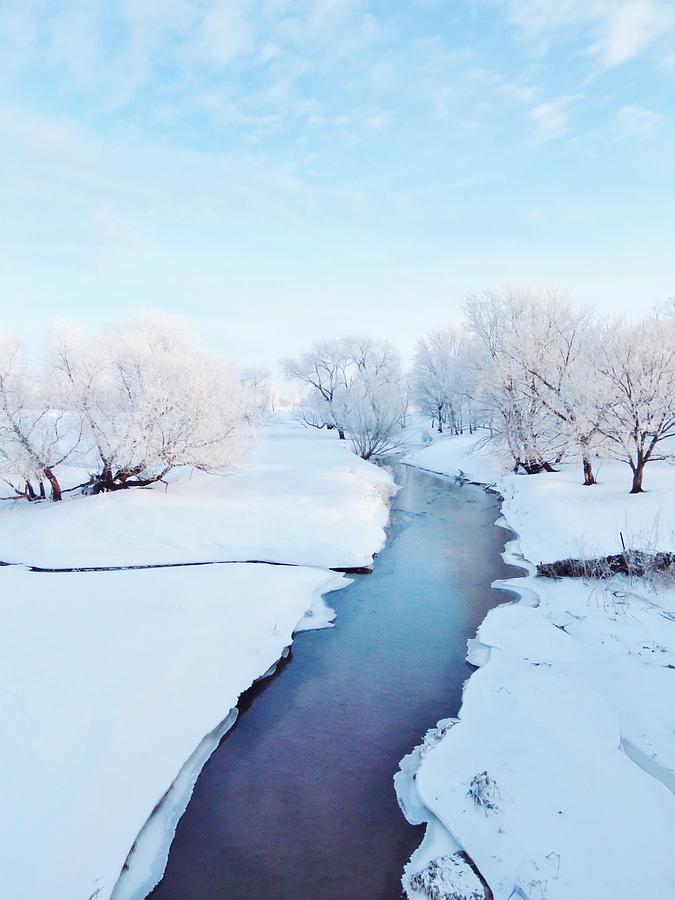 Winter Artistry  Photograph by Lori Frisch