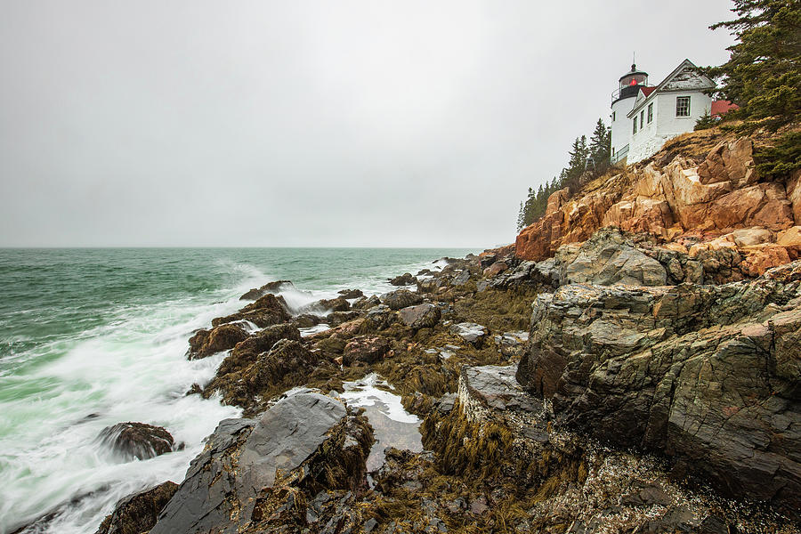 Winter at Bass Harbor Head Lighthouse Photograph by Stefan Mazzola
