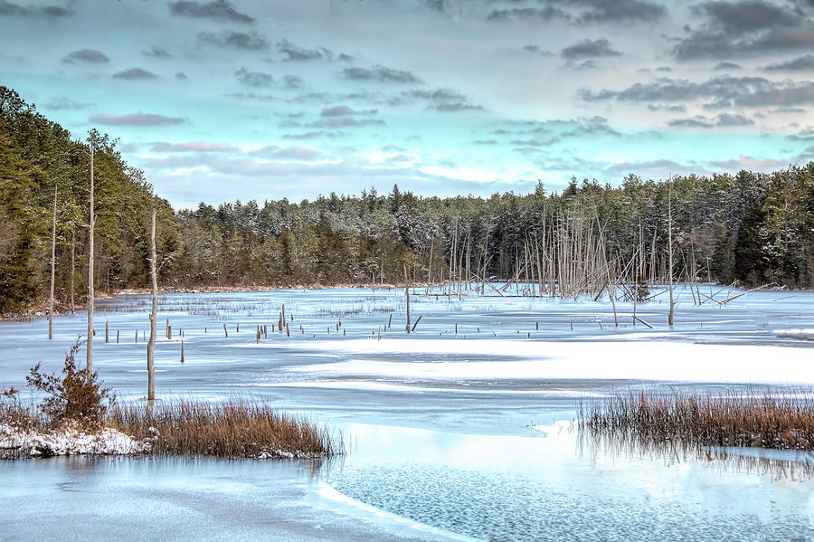 Winter At Lake Oswego Photograph by Kristia Adams