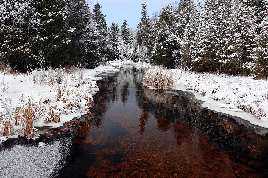 Winter At Reiboldt Creek 2 Photograph by David T Wilkinson