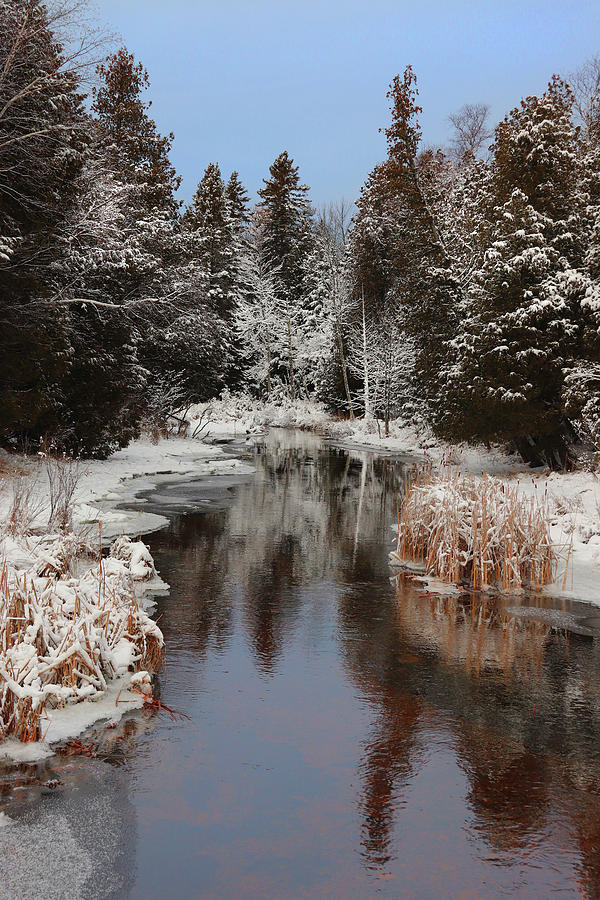 Winter at Reiboldt Creek Photograph by David T Wilkinson