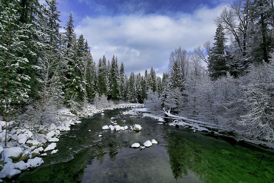 Winter at the creek Photograph by Lynn Hopwood