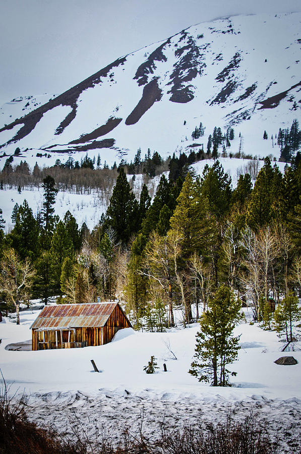 Winter at the Hope Valley Cabin Photograph by Steph Gabler