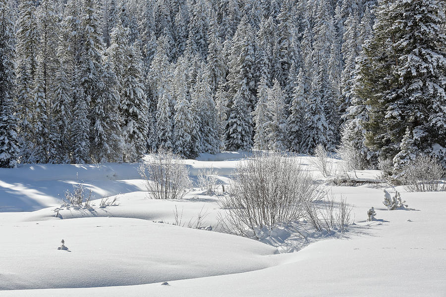 Winter At Warm Creek Photograph by Ann Skelton
