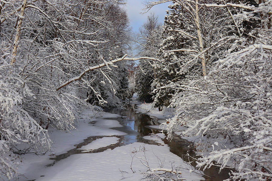 Winter at Whitefish Bay Creek Photograph by David T Wilkinson