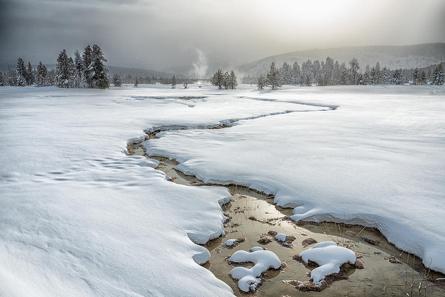 Winter At Yellowstone Photograph by Li Qun Xia