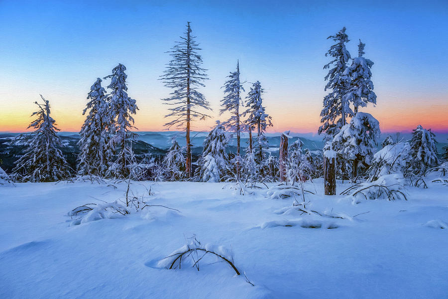 Winter Attire Photograph by Philippe Sainte-Laudy