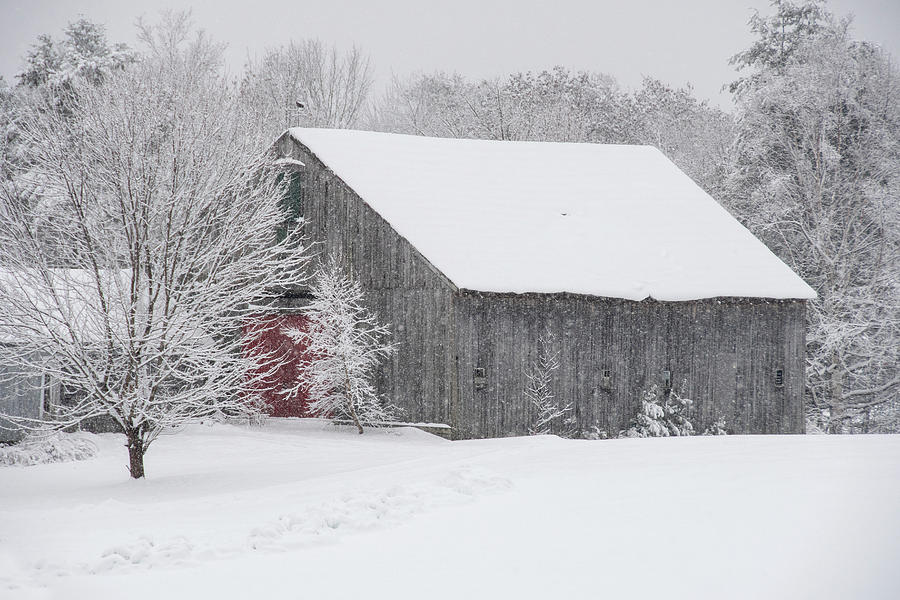 Winter Barn Photograph by Donna Doherty