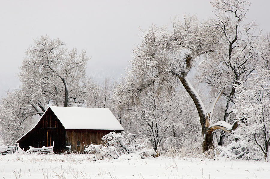 Winter Barn Scene Photograph by Beklaus