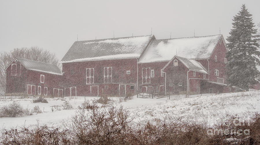 Winter Barn Scene Photograph