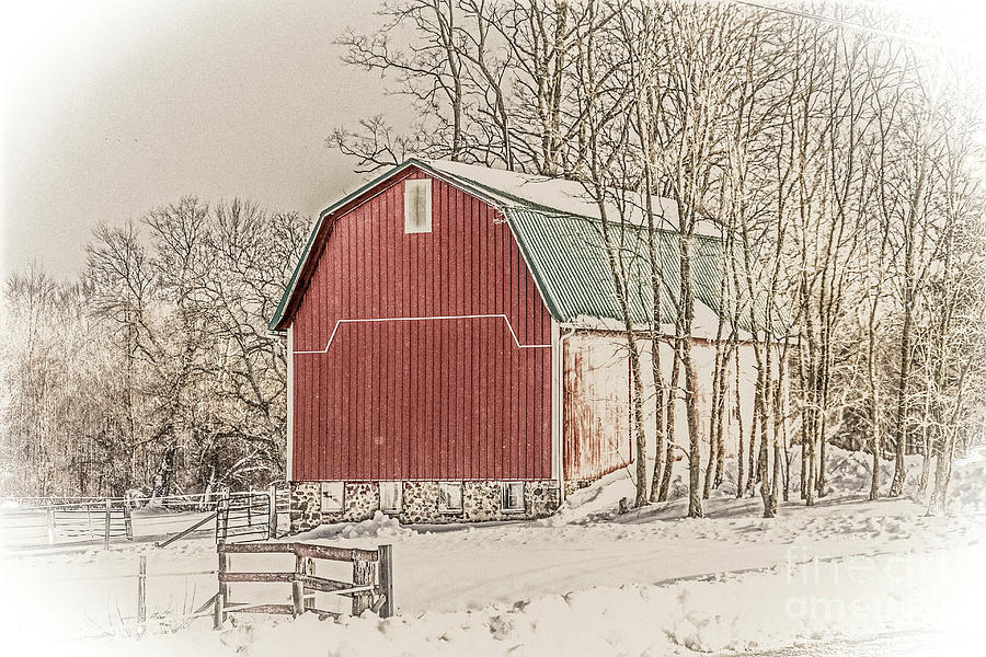 Winter Barn Photograph by William Norton