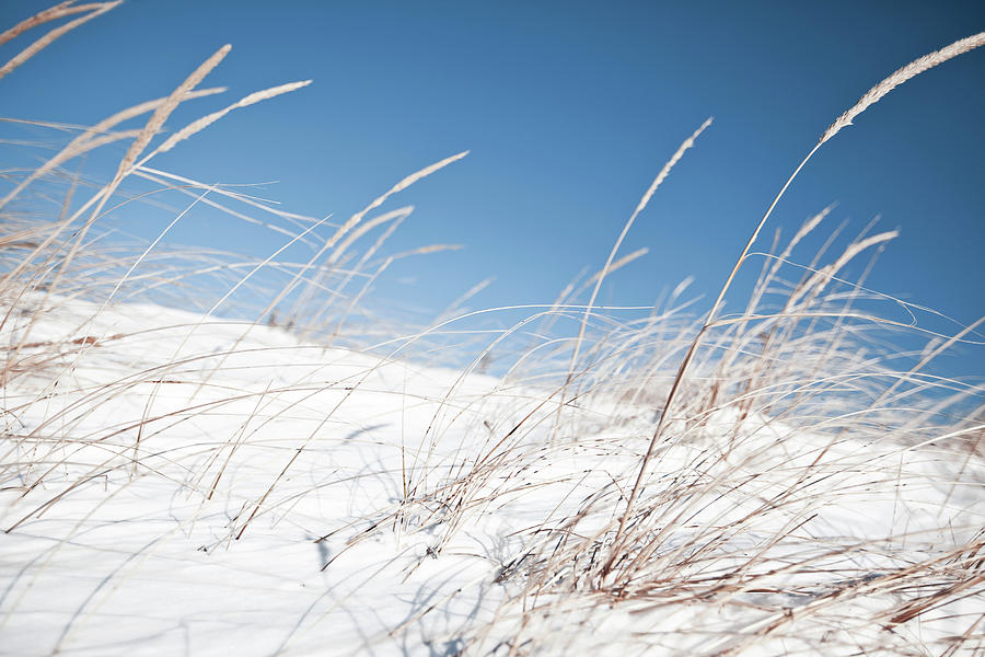 Winter Beach by Vanessa Van Ryzin, Mindful Motion Photography