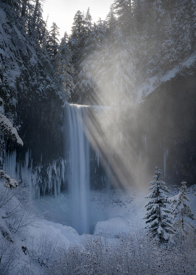 Nature Photograph - Winter Beams by Gerald Macua
