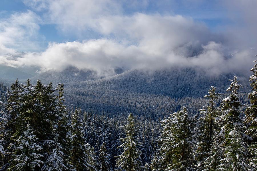 Winter Beauty Photograph by Lynn Hopwood - Fine Art America