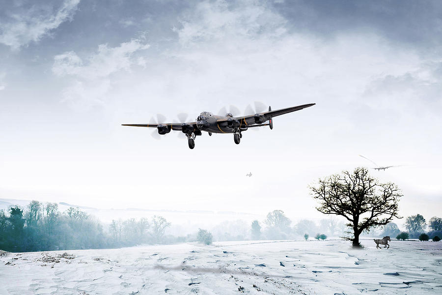 Winter Bites Digital Art by Airpower Art