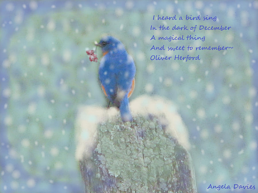 Winter Blue Bird Mixed Media by Angela Davies