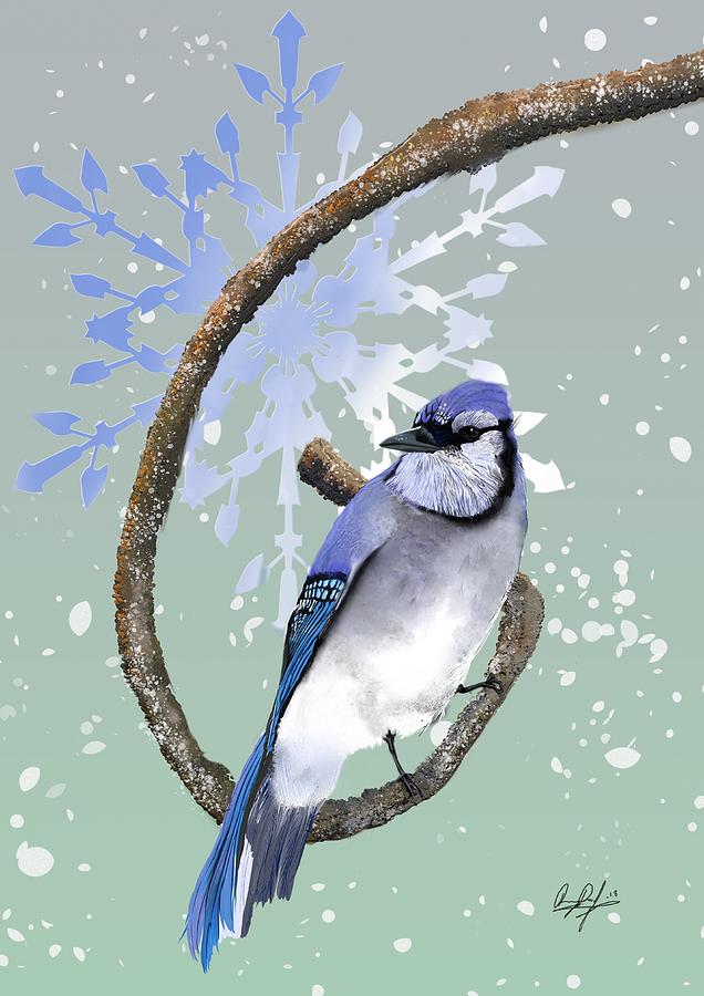 Christmas Digital Art - Winter Blue by Douglas Day Jones