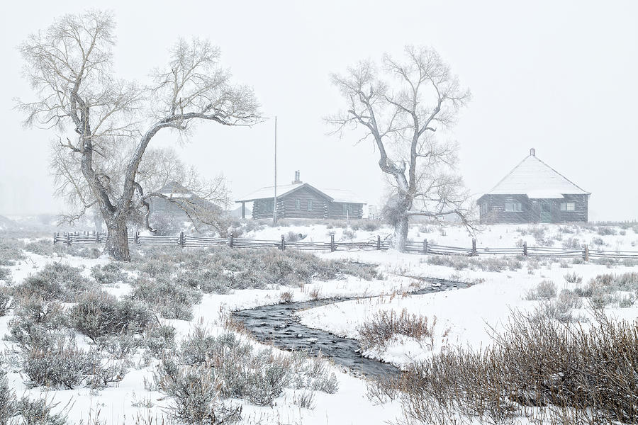 Winter Bound Photograph by Ann Skelton