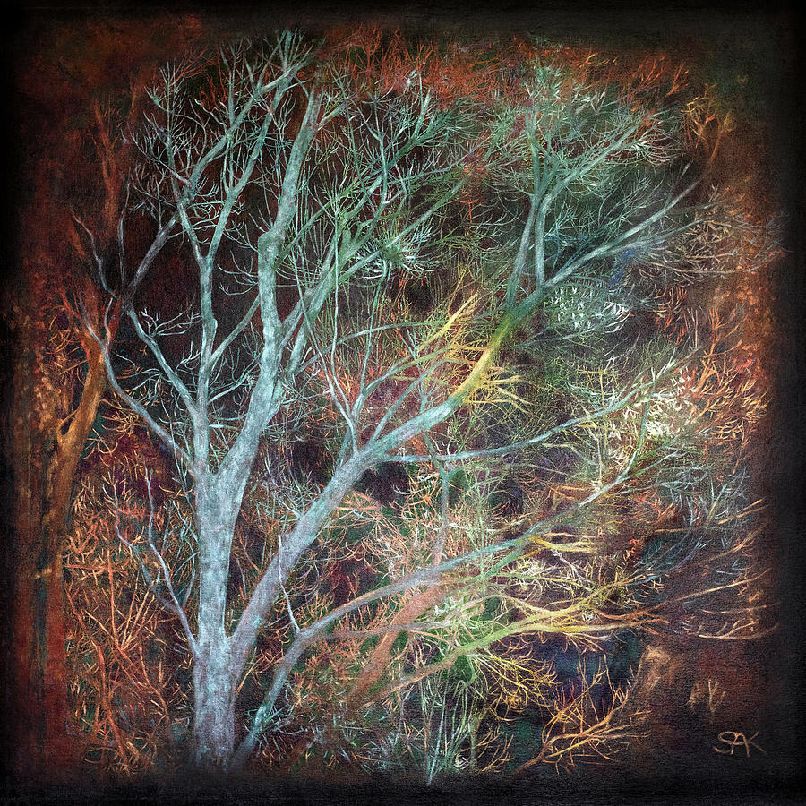 Winter Branches, Summer Soil Mixed Media by Sheryl Karas