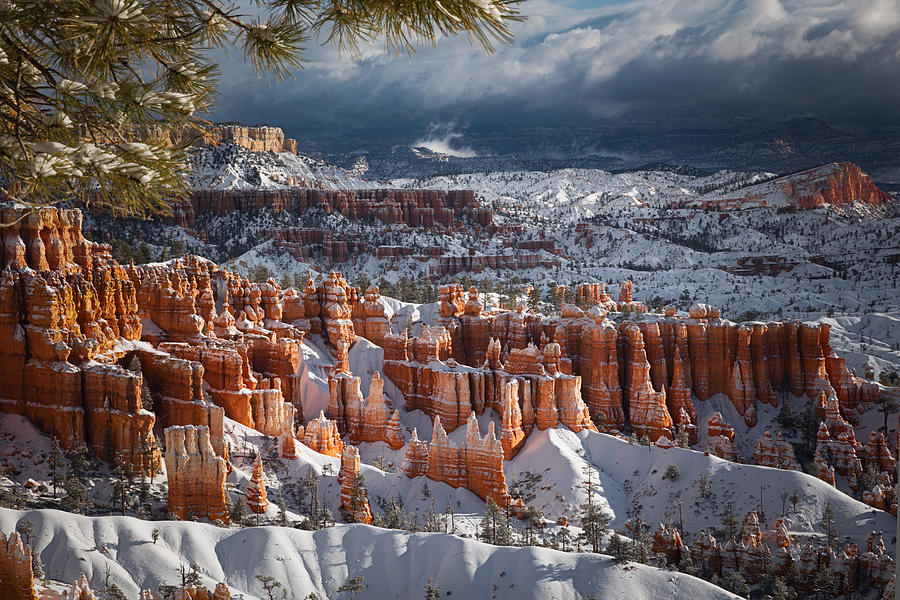 Bryce Canyon National Park Photograph - Winter Breeze by Edgars