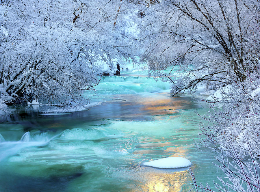 Winter Brilliance and Beauty Photograph by Leland D Howard