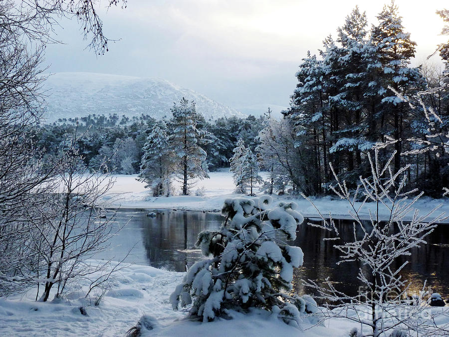 Winter Calm - Loch Morlich Photograph by Phil Banks