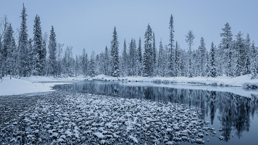 Winter Photograph - Winter Calmness by Haim Rosenfeld