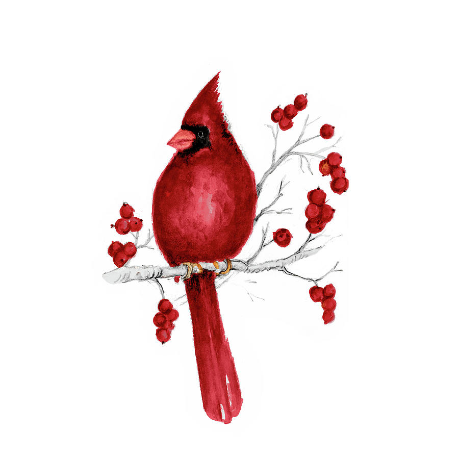 Cardinal Mixed Media - Winter Cardinal In Red II by Janice Gaynor