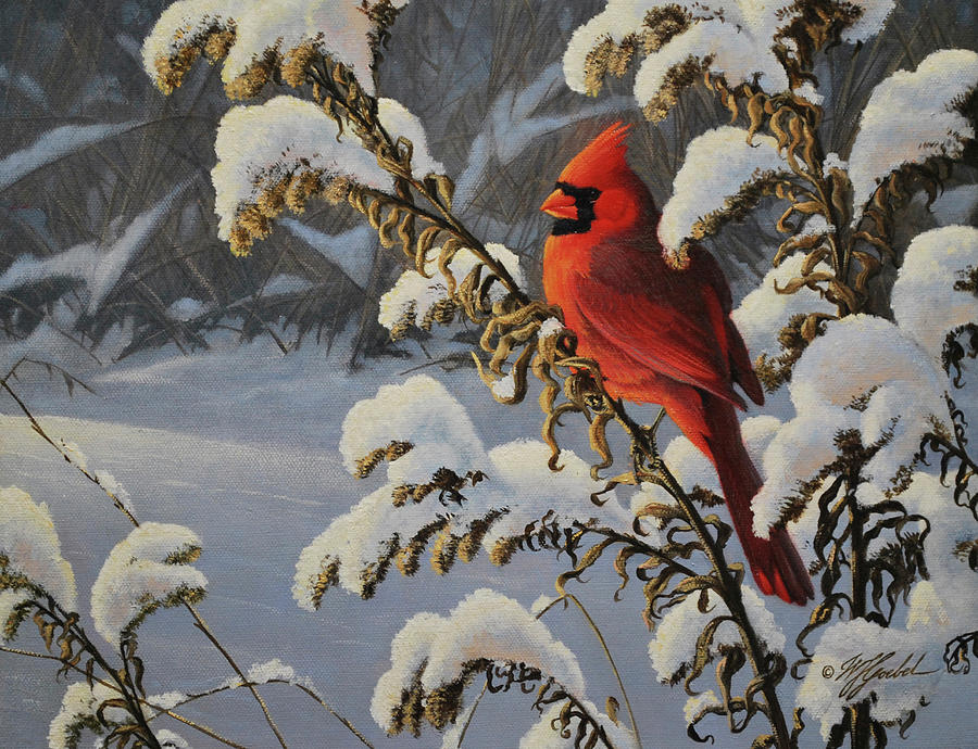 Cardinal Snow Painting Wildlife Painting Cardinal Painting Cardinal-Original Cardinal Watercolor Painting