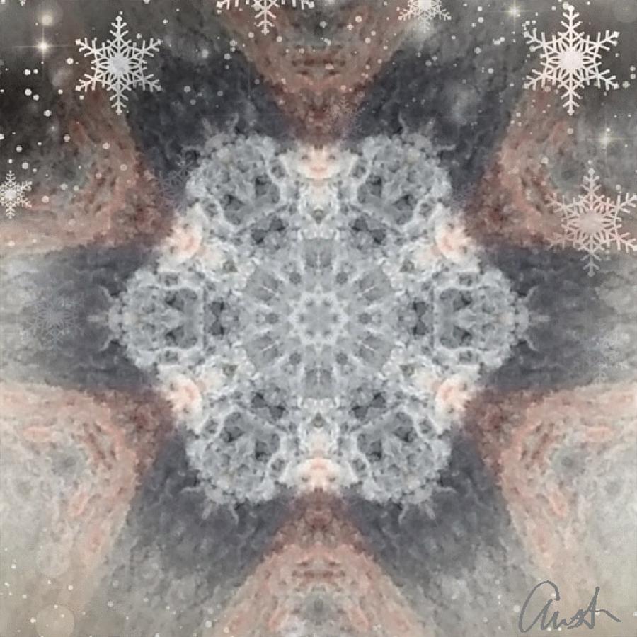 Winter Digital Art by Cepiatone Fine Art Callie E Austin