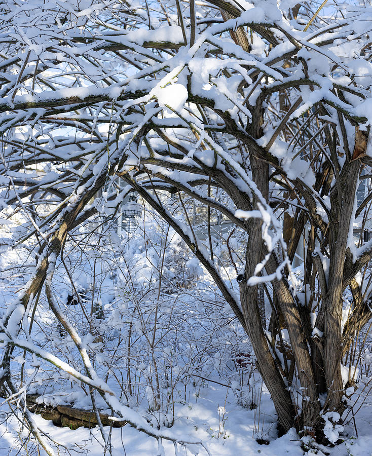 Winter Clings On Photograph by Brooke Bowdren