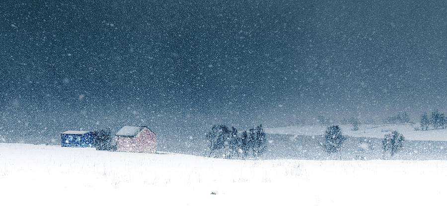 Winter Colours Photograph by Stephanie Kleimann