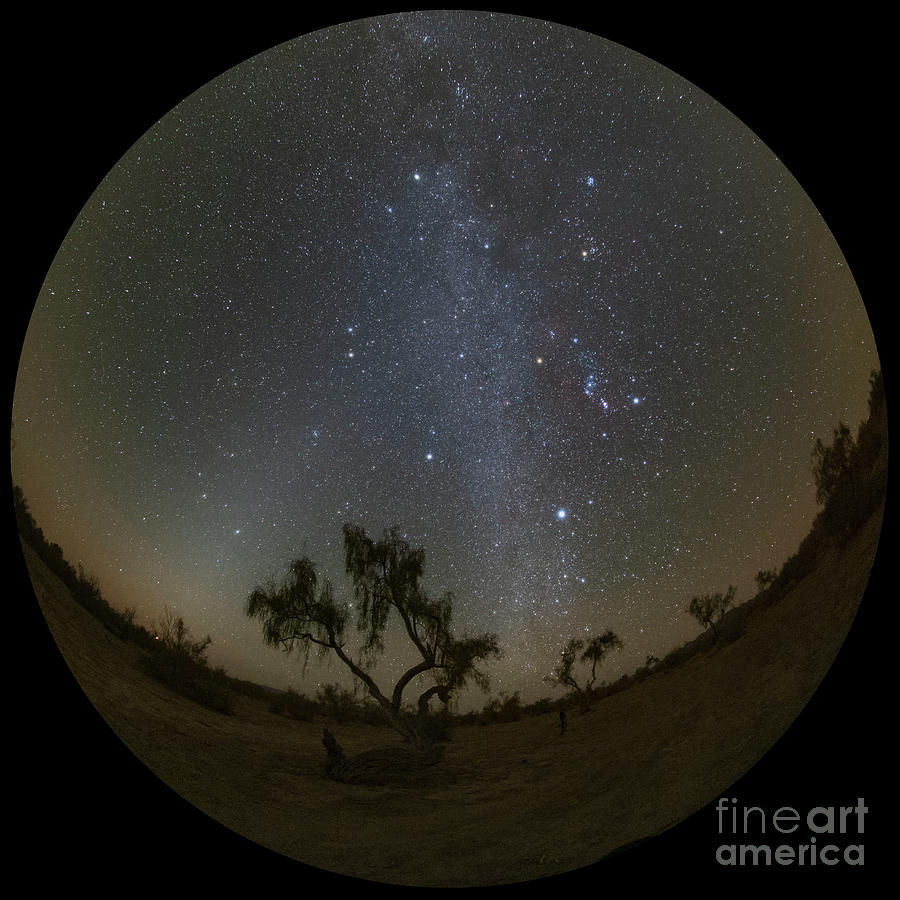Winter Constellation Over Desert Photograph by Amirreza Kamkar / Science Photo Library