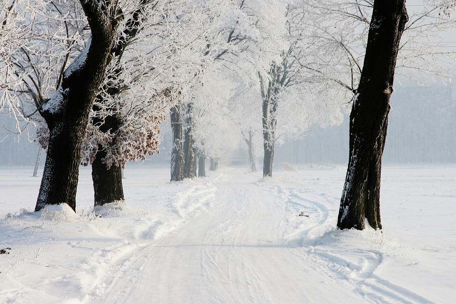 Winter Country Road Photograph by Andrzej Grzegorzewski