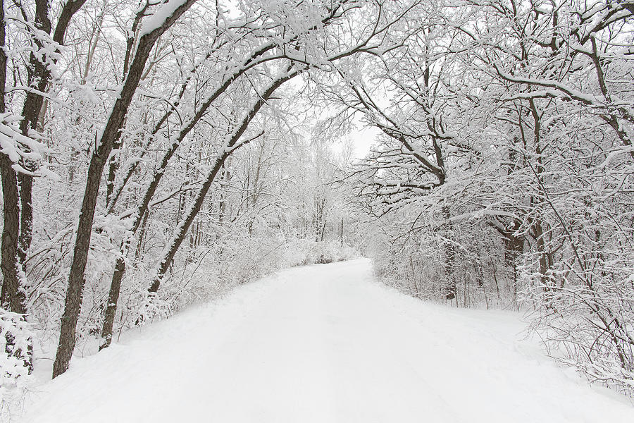 Winter Country Road Photograph by Timothy Hughes